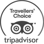 Tripadvisor logo featuring an owl graphic with 