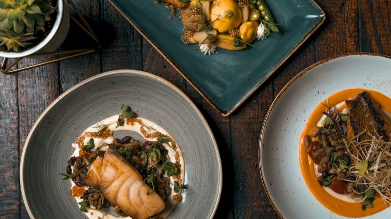 Three gourmet dishes artfully plated on a wooden table, accompanied by a small potted plant.