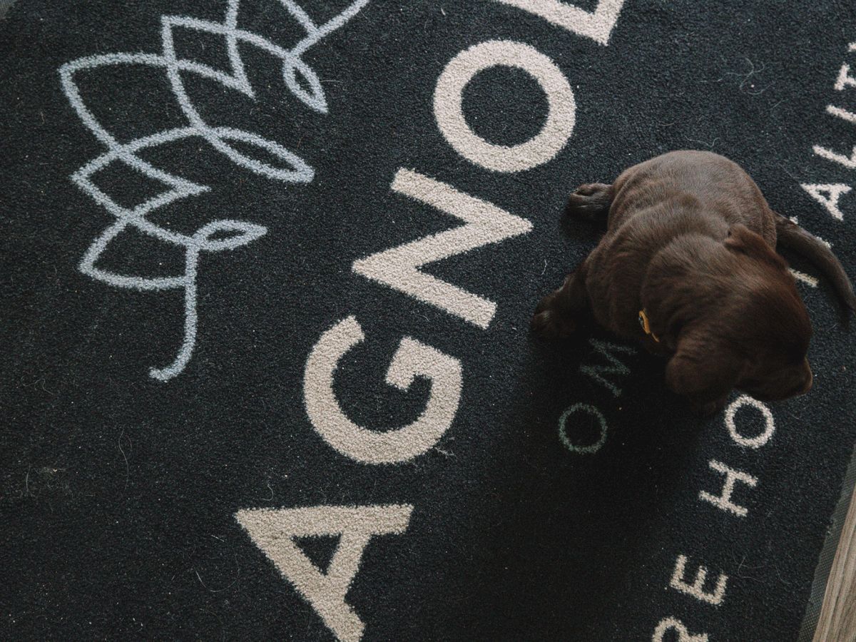 A brown puppy sits on a black mat with white lettering and a decorative design.