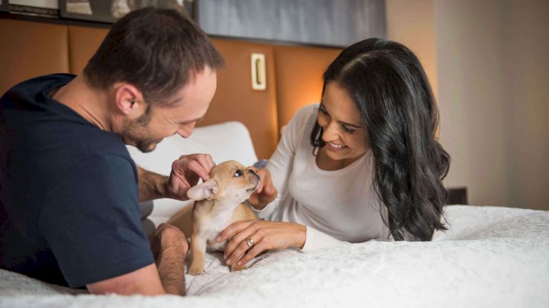 A couple is playing with a small dog on a bed, smiling and enjoying their time together.