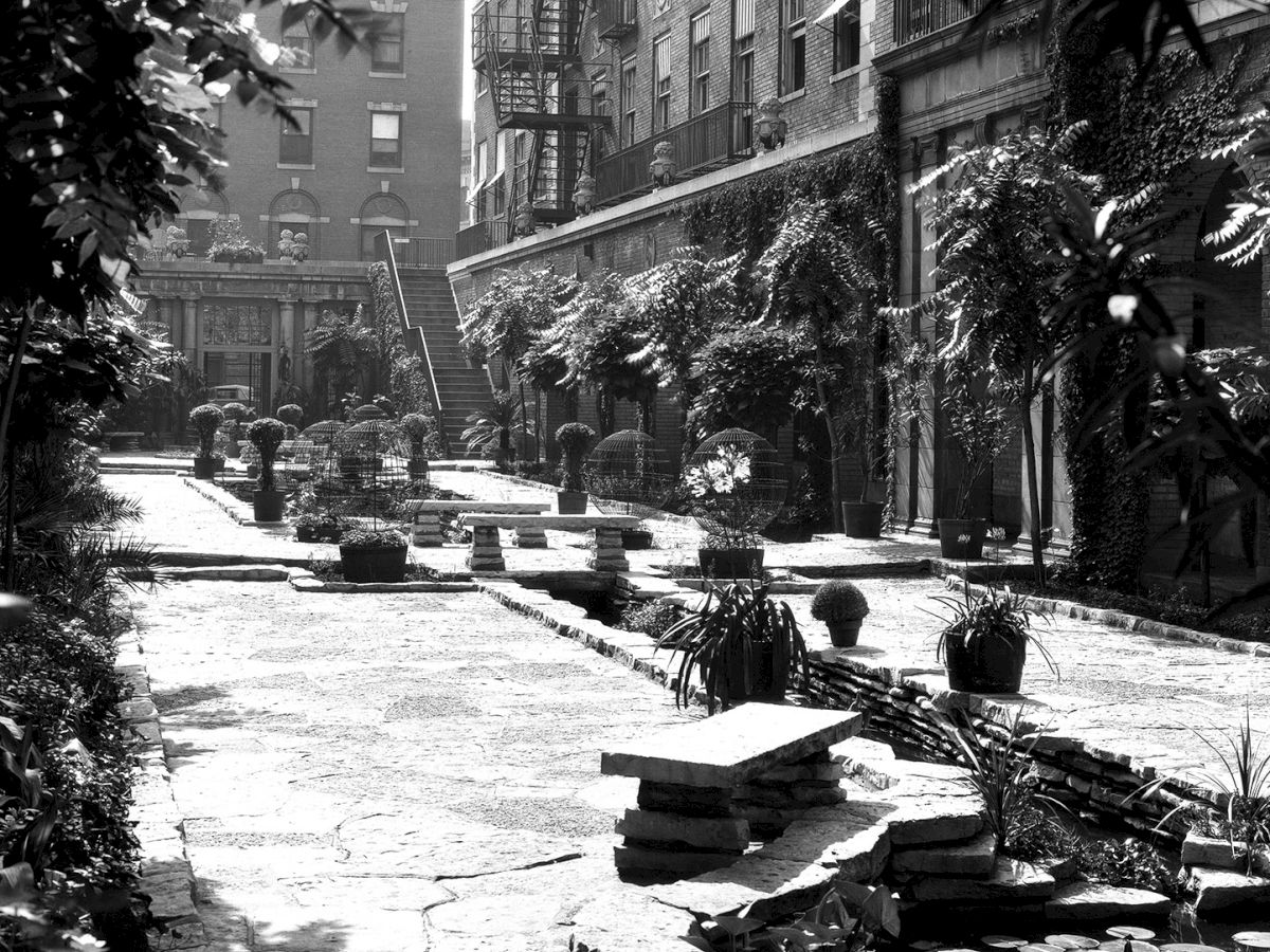 A black-and-white photo of a courtyard with stone paths, potted plants, and a fish pond, surrounded by buildings and greenery.