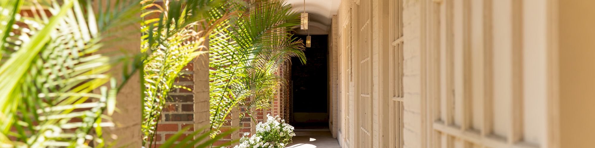 A sunlit corridor with potted plants and flowers, featuring a brick wall and arched ceiling, creating a serene and inviting atmosphere.